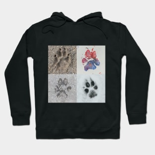 Paws of Art Hoodie